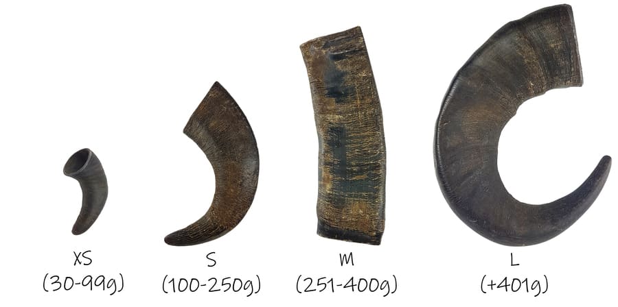 Cuerno de búfalo para perros