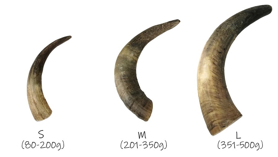 Cuerno de vacuno para perros