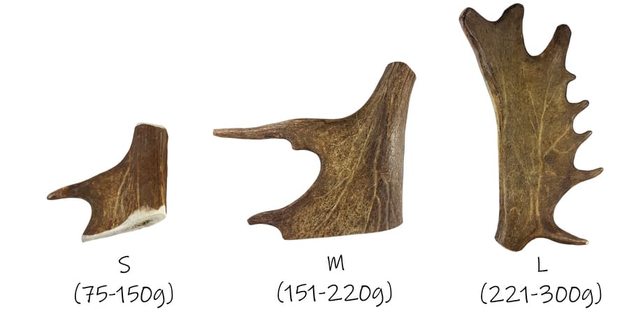 Asta de Gamo para perros