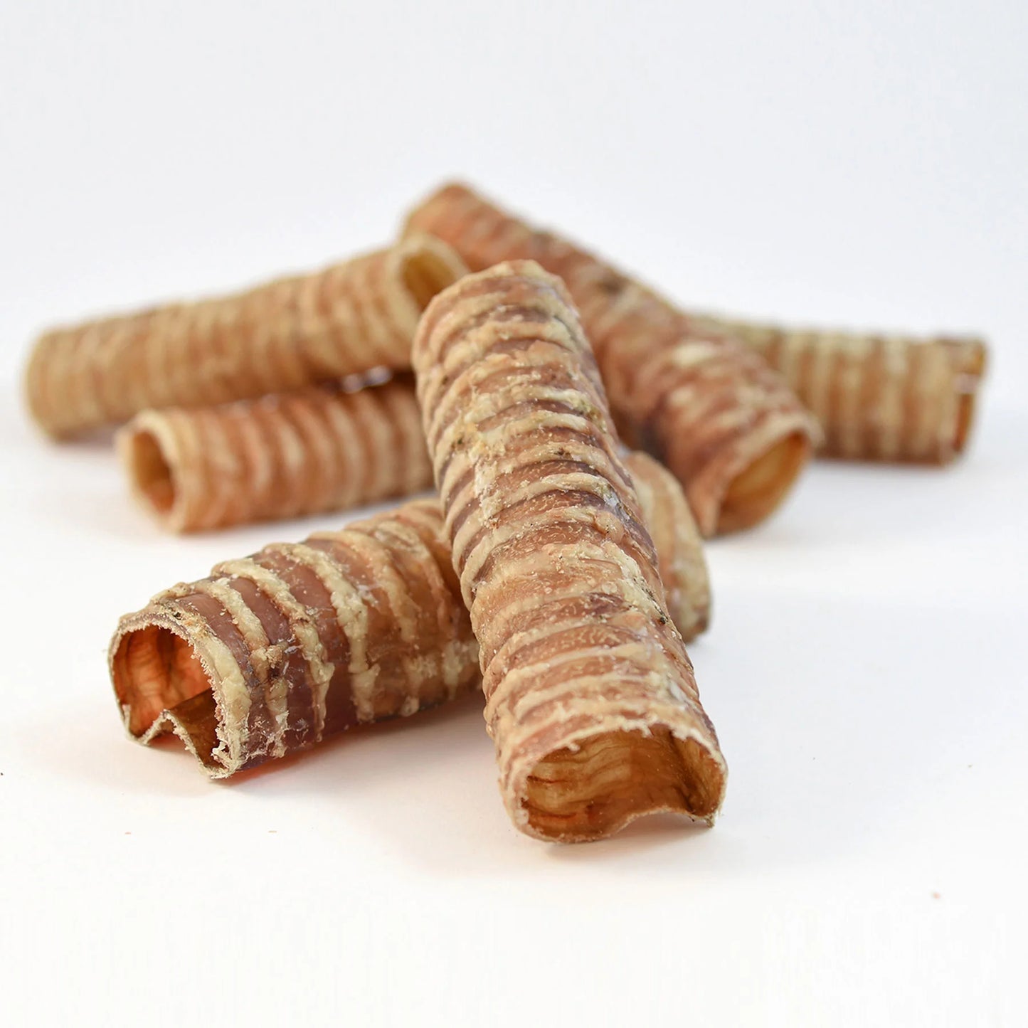 Tráquea de ternera deshidratada para perros