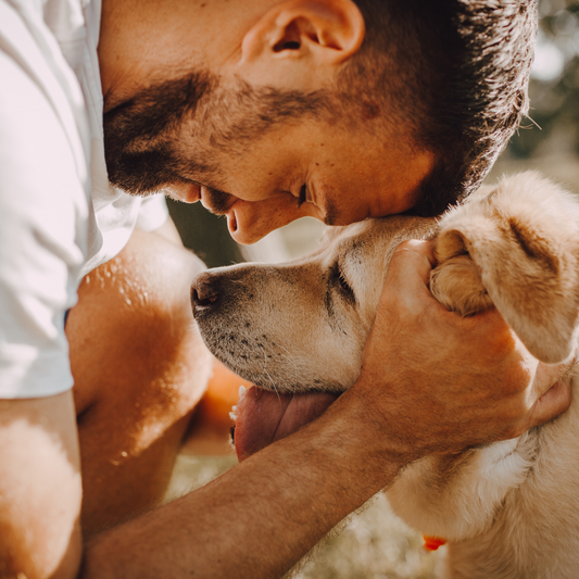 ¿Y si tu perro hablara?