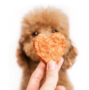 Snack Woolf Corazones de Pato y Pollo 100gr