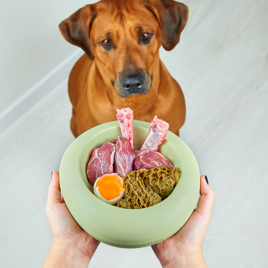 SESIÓN NUTRICIÓN CANINA Y FELINA