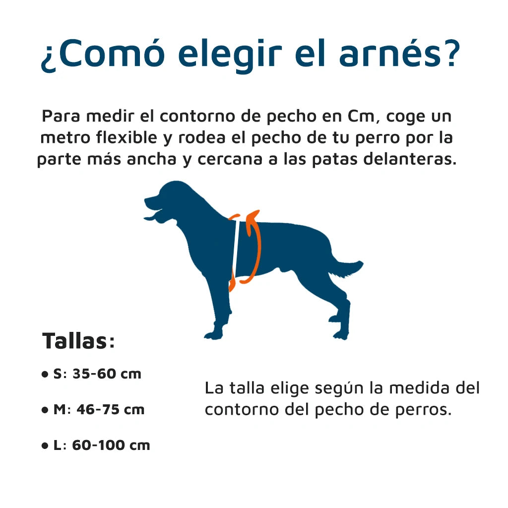 Arnés X-TRM Rojo