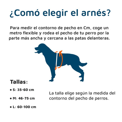 Arnés X-TRM Rojo