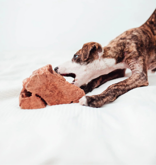 Raíz de brezo para perros