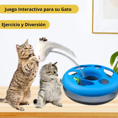 circuito de juego