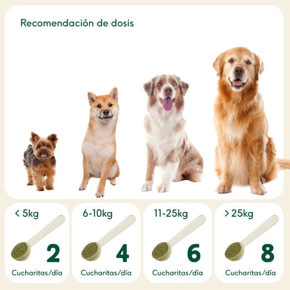 ARTICULACIONES DE ACERO  | Condroprotector natural