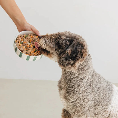 Lata de Pollo para perros 400g - Filosofía BARF