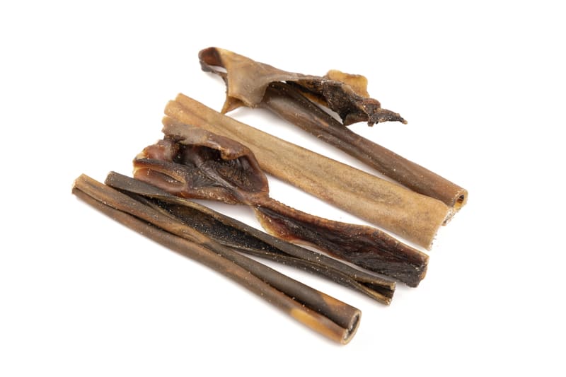 Piel de camello