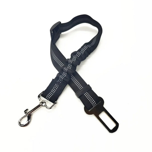 Cinturón de seguridad