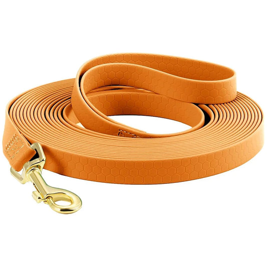 Correa Resistente