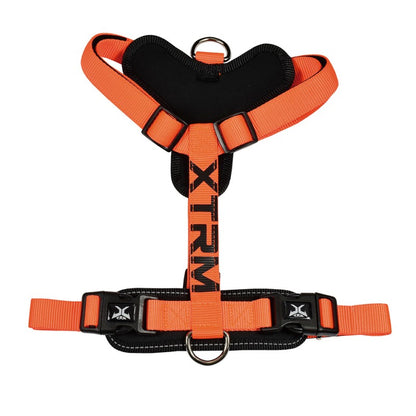 Arnés X-TRM Naranja