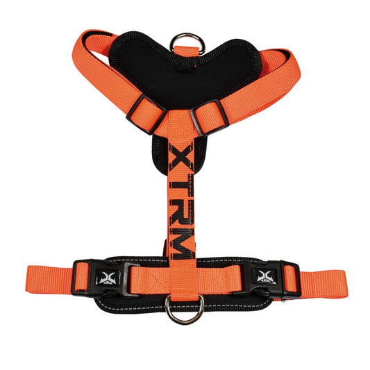 Arnés X-TRM Naranja