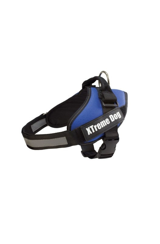 ARNES XTREME DOG AZUL S