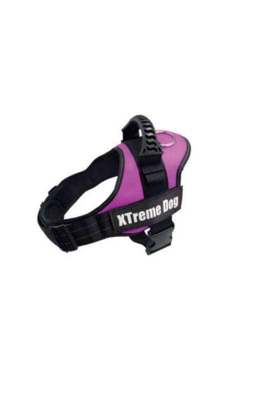 ARNES XTREME DOG ROSA XS