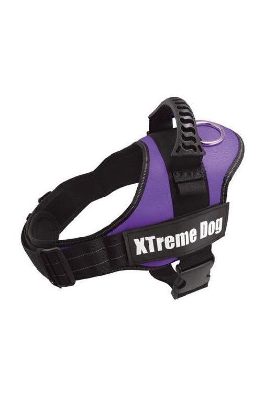 ARNES XTREME DOG LILA S