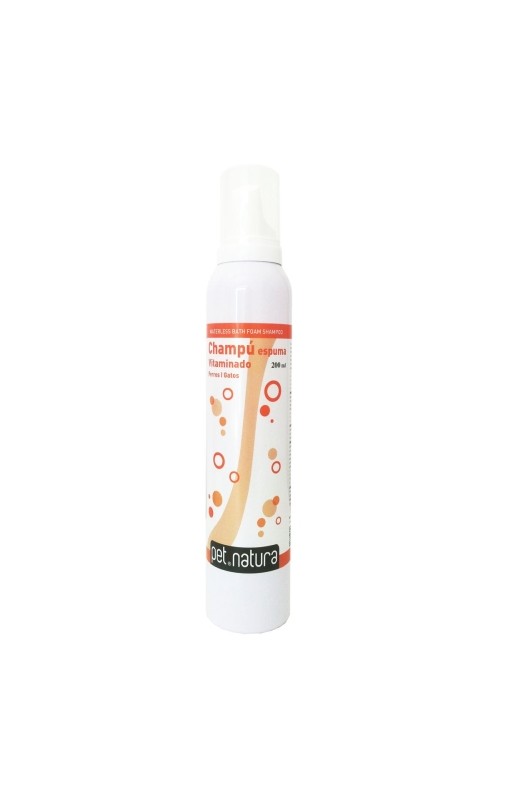 CHAMPU ESPUMA SECA  210ml.