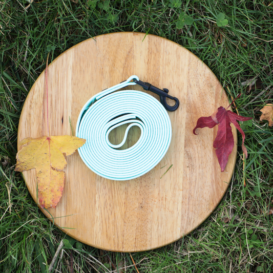 Super Correa Resistente | Azul agua