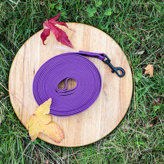 Super Correa Resistente | Morada