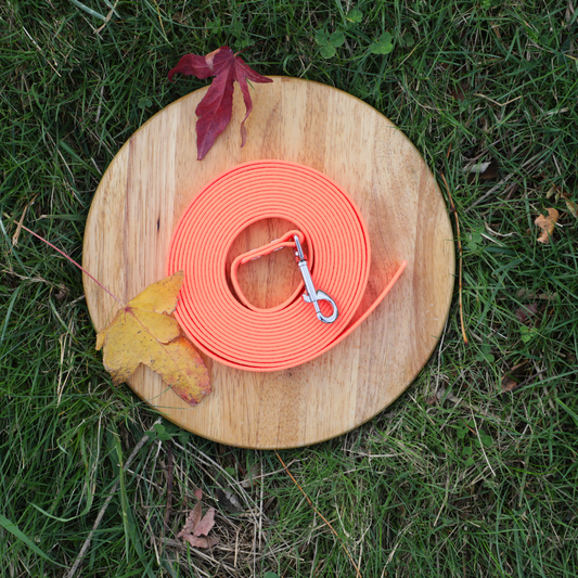 Super Correa Resistente | Naranja