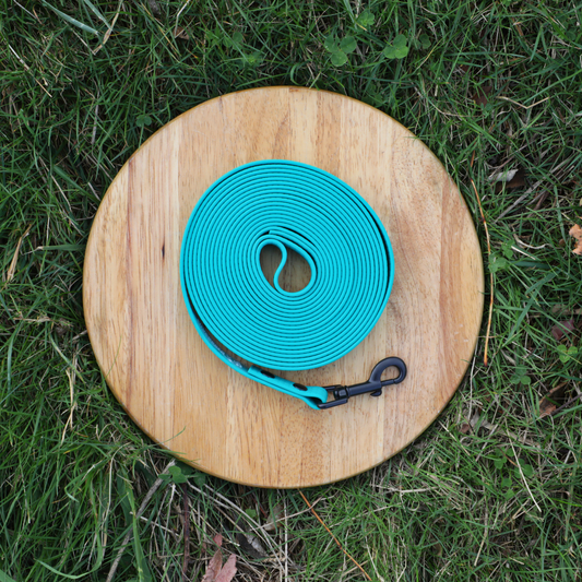 Súper Correa Resistente | Turquesa